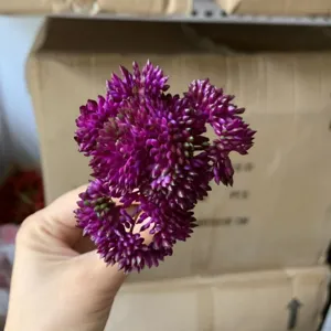 Dettagli di materiali di fiori succulenti artificiali viola per artigianato e decorazioni.