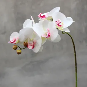 Detailed close-up of artificial phalaenopsis orchid branch featuring soft-touch white petals and pink.