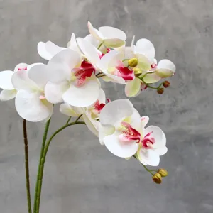Artificial Phalaenopsis orchid flower detail, 6 heads real touch silk floral home decor.