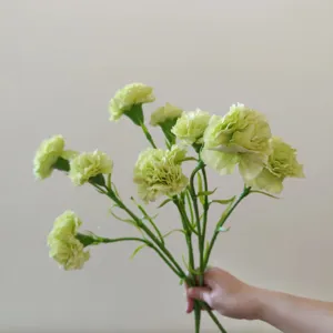Close-up of artificial green carnation bouquet, realistic faux silk flowers for decor.