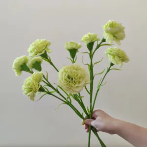 Artificial silk carnation flowers green dianthus bouquet for wedding home decor detail view