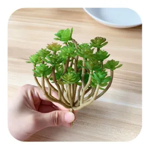 Künstliche Sukkulente Mini Pflanze mehrköpfig grün Mikrolandschaft Dekoration floral