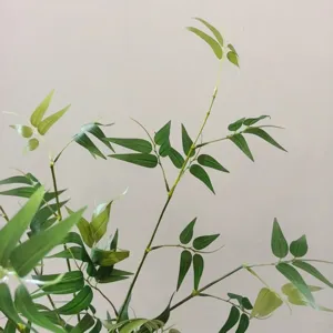 Artificial bamboo leaves branch for home decor, tea room and wedding photography background.