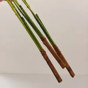 Detailed shot of artificial plant stem with green stalk and brown wrapped base for decor.
