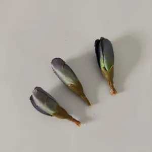 Gros plan détaillé de boutons de fleurs de glaïeuls artificiels rétro d'automne pour loisirs.