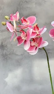 Close-up of pink artificial phalaenopsis orchid stem, realistic 3D floral decor detail.