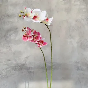 Artificial Phalaenopsis flower stem 3D printed fake orchid floral home decor background