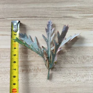 Artificial green leaf detail shot, PVC plant accessory for DIY crafts, corsage, and floral decor.