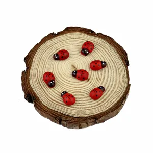 Wooden ladybug miniature detail, red painted insect decor for moss micro landscape and succulent plants.