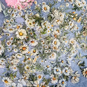 Daisy floral sticker pack transparent waterproof PET material for journal craft decoration