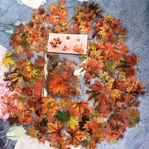 Transparent waterproof autumn maple leaf plant stickers pack for journaling and DIY crafts.