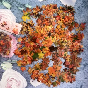 Autumn maple leaf PET waterproof stickers pack for DIY scrapbooking journal decoration.
