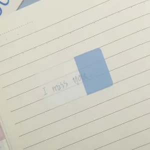 Detail view of translucent PET sticky notes and Morandi index tabs on lined notebook.