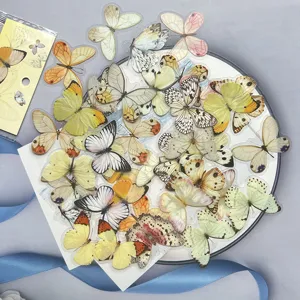 Close-up detail of transparent PET butterfly stickers, perfect for journaling and crafts.