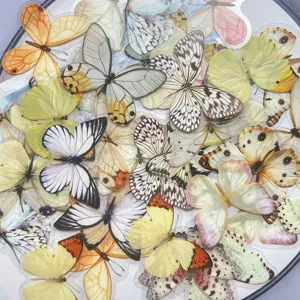 PET transparent waterproof butterfly stickers set, cute decorative sticker pack for journal