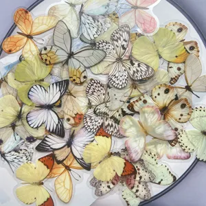Transparent PET butterfly sticker pack for journaling and scrapbooking, waterproof.