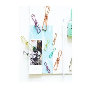Vista detallada de clips metálicos coloridos y pinzas organizados para agendas y notas.