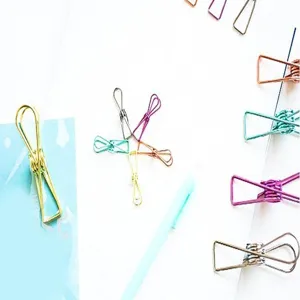 Clips de metal de colores para la planificacion de diarios y la organizacion de documentos.