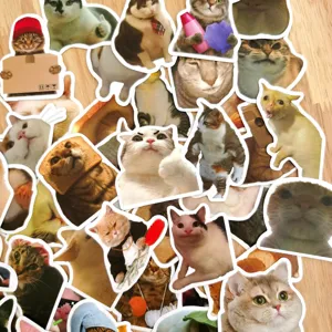 Funny cat stickers waterproof vinyl cute meme cat decals for laptop luggage water bottle 50pcs
