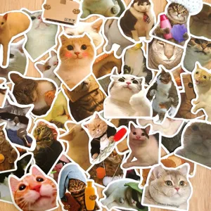 Cute funny cat meme stickers waterproof vinyl sticker pack for luggage laptop water bottle 50pcs