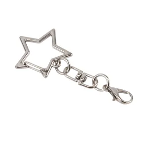 Detailansicht Metall Stern Schlüsselanhänger, silberfarbener Karabiner Haken Zubehör Teil.