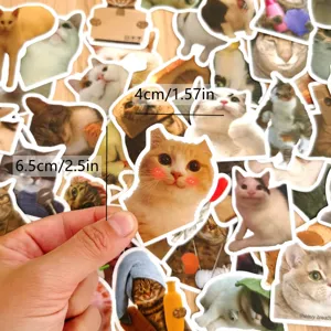 50pcs funny cat meme stickers waterproof vinyl decals for luggage laptop water bottle