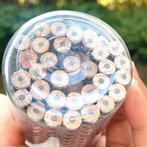 Vue détaillée de crayons en bois emballés dans un étui transparent avec pointes en graphite.