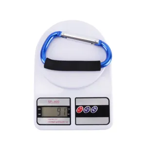 Blue aluminum D-shaped carabiner hook with sponge grip, detail view showing weight.