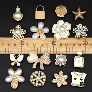 Clog shoes DIY accessories set, pearl rhinestone flower charms, stylish shoe buckles.