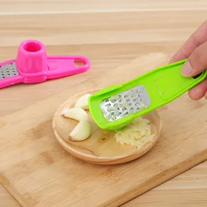 Mini garlic press grater, handheld ginger grinder and garlic mincer kitchen tool for home.