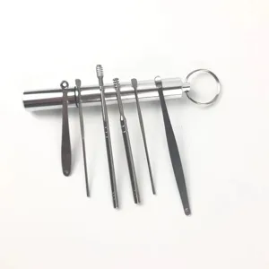 Stainless steel ear pick 6-piece set with portable storage case and key ring tool cleaning.