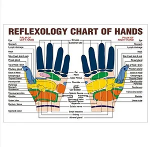 Handreflexzonen Karte Poster zeigt Handflaechen Druckpunkte und Organ Therapie Leitfaden.