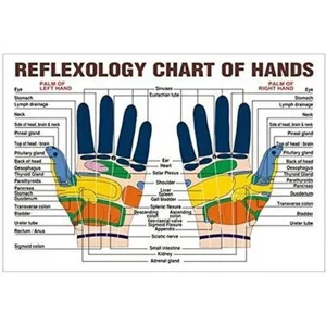 Handreflexzonen Tabelle Plakat mit detaillierten Druckpunkten und Massagezonen fur die Gesundheit.