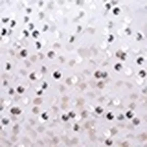 Silver sequin fabric detail close-up for stylish underarm shoulder bag women accessory