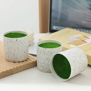 White speckled ceramic plant pots with green moss for home decor desktop succulent displays