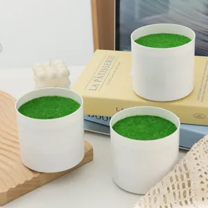 Nordic minimalist white cylindrical flower pot with green moss, perfect for indoor succulent plants.