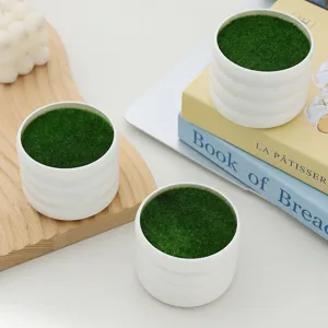 Nordic minimalist white ribbed plant pot with green artificial moss for succulent bonsai decor.