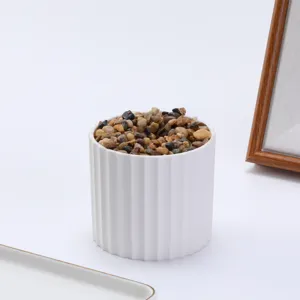 Nordic minimalist white ribbed flower pot with colorful pebbles, ideal for indoor desktop plants.