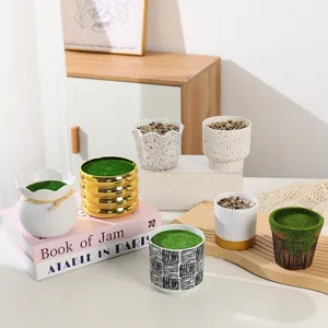 Detailed view of Nordic minimalist ceramic flower pots and stylish succulent plant containers.