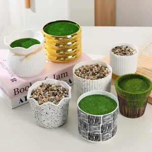 Nordic minimalist succulent flower pots with trays, creative imitation stone and ceramic designs.