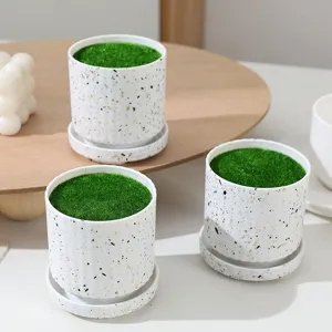Detailed view of Nordic minimalist ceramic flower pot with tray and green moss decor.