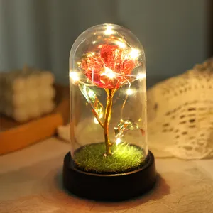 Enchanted Galaxy Rose in Glass Dome with LED Lights Romantic Gift for Valentine Mother Birthday
