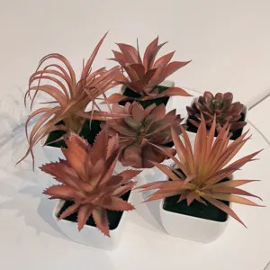 6er Set künstliche Herbst Sukkulenten in weißen Töpfen, ideal für Heimdeko und Bastelarbeiten.