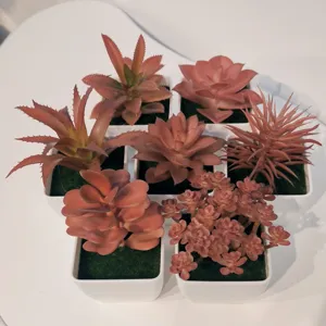 Nahaufnahme künstlicher Sukkulenten im Herbst-Look, Detailansicht für DIY-Heimdekoration.