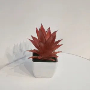 Nahaufnahme künstlicher Sukkulente in Herbstfarbe im weißen quadratischen Topf für Schreibtisch.