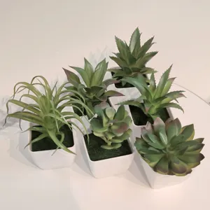 Set von 6 künstlichen Sukkulenten in weißen Töpfen für Heimdekoration und DIY Basteln.