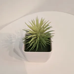 Kleine künstliche Sukkulente im weißen quadratischen Topf für Deko und Zuhause.