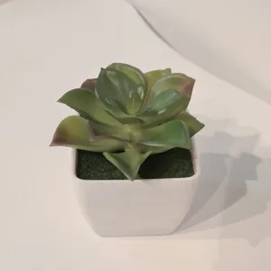 Nahaufnahme der künstlichen Sukkulente im Topf, Miniatur-Grünpflanze für Innendekoration.
