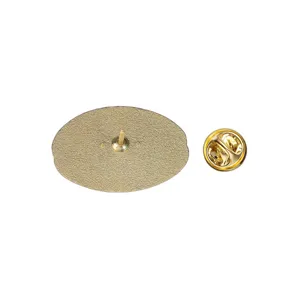 Detail van de achterkant van een gouden metalen broche met veilige speld en vlindersluiting.