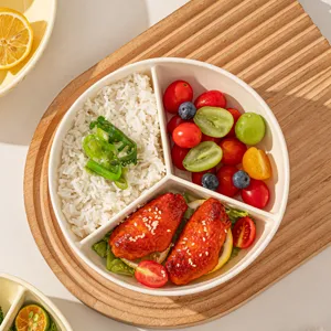 Japanese style ceramic 3-compartment dinner plate, partitioned salad and meal prep tableware for home.
